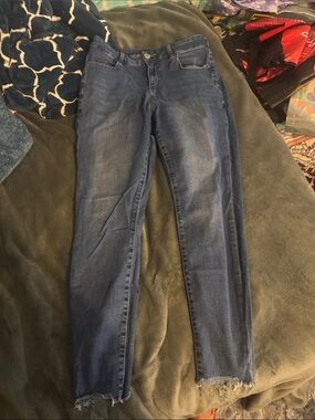 American Eagle Outfitters Dark Blue Skinny Jeans curvy